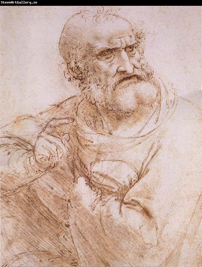 LEONARDO da Vinci Study of an apostle